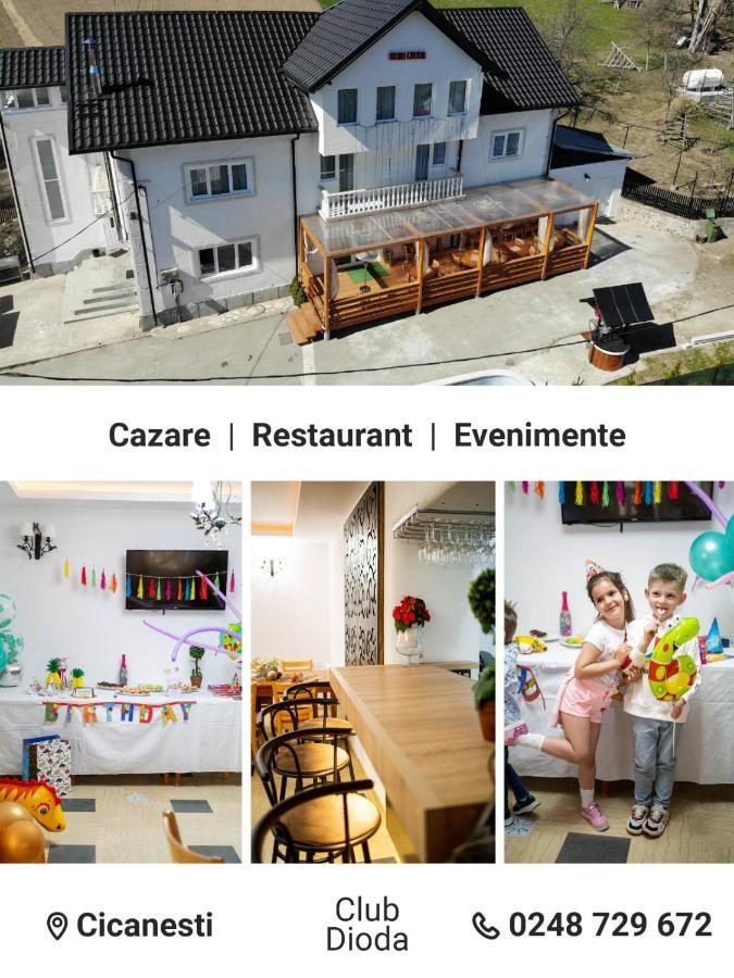 Vila Club Dioda Cicanesti Bagian luar foto
