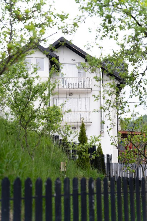 Vila Club Dioda Cicanesti Bagian luar foto